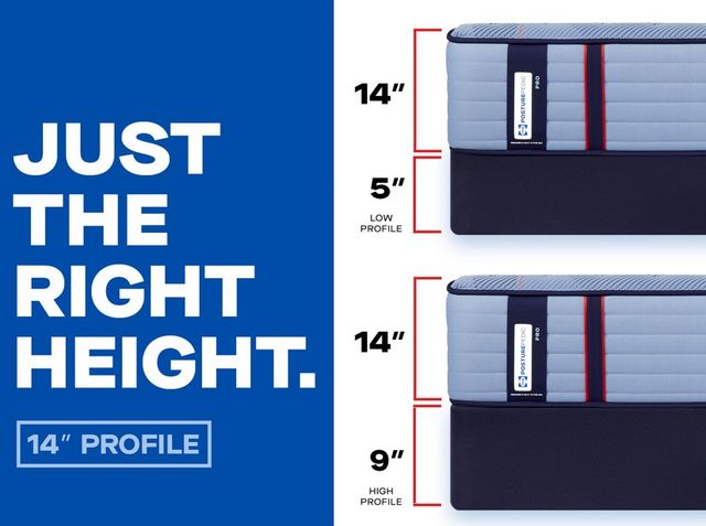 Posturepedic® Pro Dupont II Medium Mattress By Sealy