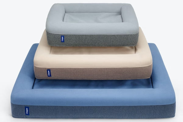Casper Dog Bed | Pressure-relieving memory foam and durable support foam for dogs